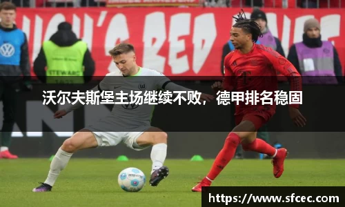 沃尔夫斯堡主场继续不败，德甲排名稳固