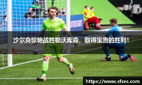 沙尔克惊艳战胜勒沃库森，取得宝贵的胜利！