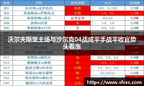 沃尔夫斯堡主场与沙尔克04战成平手战平收官势头看涨