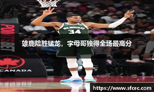 雄鹿险胜猛龙，字母哥独得全场最高分