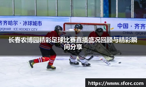 长春农博园精彩足球比赛直播盛况回顾与精彩瞬间分享