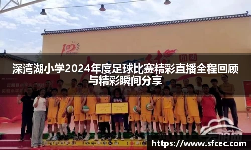 深湾湖小学2024年度足球比赛精彩直播全程回顾与精彩瞬间分享
