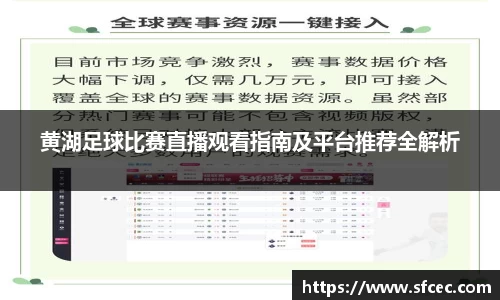 三亿体育官网