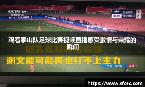 观看泰山队足球比赛视频直播感受激情与荣耀的瞬间