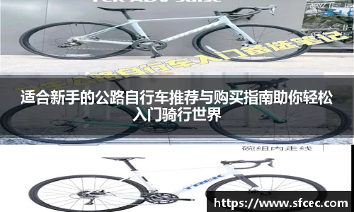 适合新手的公路自行车推荐与购买指南助你轻松入门骑行世界
