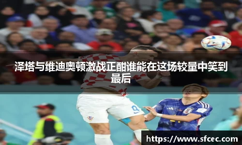 泽塔与维迪奥顿激战正酣谁能在这场较量中笑到最后