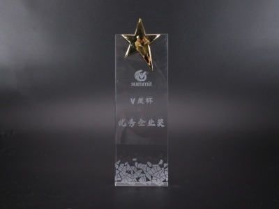 V星杯优秀企业奖