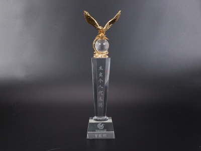 summit V星杯杰出个人代表奖